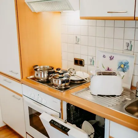 Apartament Vidmar-wintertraum *