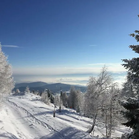 Appartement Vidmar-wintertraum